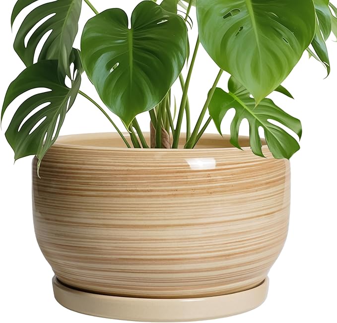 SQOWL Ceramic Plant Pot - 10 Inch Large Planter with Drainage Hole and Saucer, Round Modern Planter for Indoor Plant Outdoor, Decorative Ceramic Flower Pot, Porch Decor, Garden Gift for Women, Yellow SQOWL