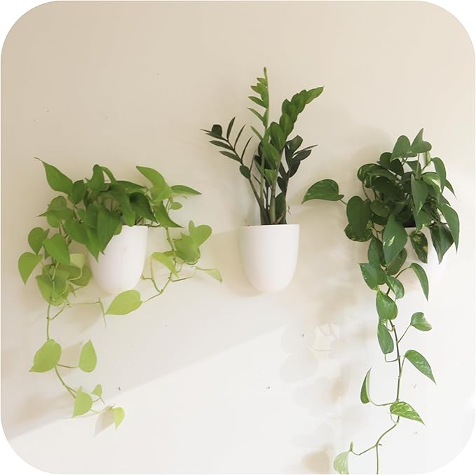 PlantPod Classic - Self-Watering Wall Planters (3, White) - Easy to Water and Install - Lightweight - Design Your Own Vertical Garden - Wall Planters for Indoor Plants MakeGood