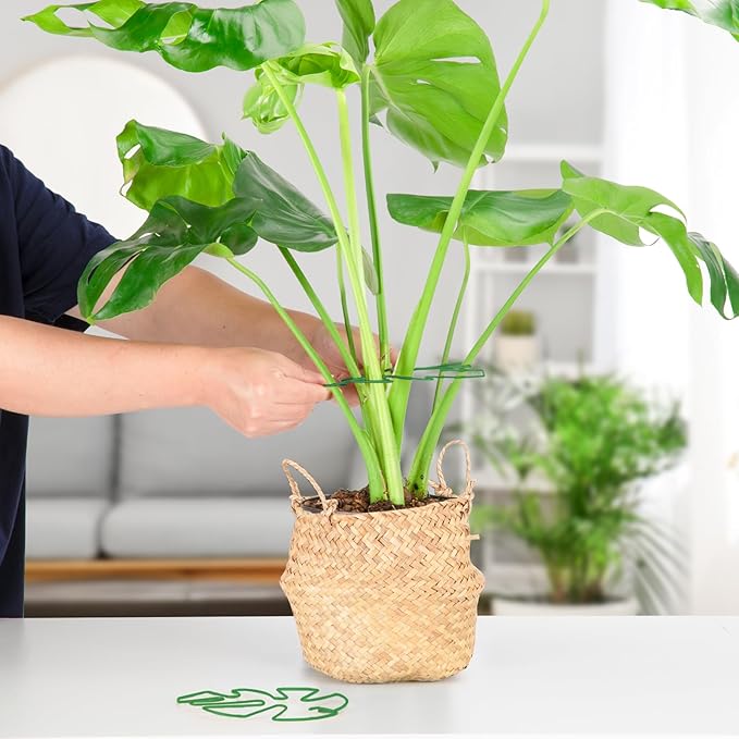 6PCS Iron Monstera Plant Support, Uniquely Designed Indoor Plant Accessories, Stable Plant Support Stakes for Indoor Plant, Turtle Shell Bamboo Clamp Set for Thriving Growth Rootora