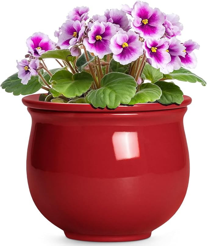 Ceramic Self Watering Planter, 6 Inch African Violet Pots with Absorbent Inner Pot, Round Self Watering Pots, Ceramic Flower Pot for Plants Indoor, Porch Decor, Plant Lover Gifts for Men, Red Teagas