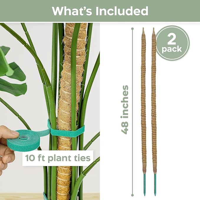 4 Pack 48'' Bendable Moss Pole Monstera Plant Support for Climbing Indoor Plants - Stakes for Potted Climbers - Tall Sticks Indoor Trellis for Houseplants - Accessories for Monstera Pot K-BRANDS