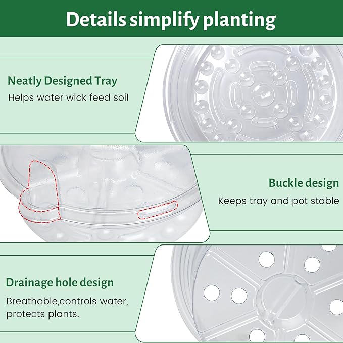 12 Pack 6.5 Inch Clear Self Watering Plant Pots with Bottom Water Tray & Watering Rope, Transparent Nursery Pots with Drainage for Seedlings, Herbs, and Houseplants Bluepro