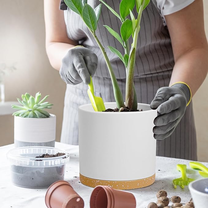 8 Inch Cylinder Flower Pots for Indoor Outdoor Plants, Medium Deep Plant Pots with Drainage Holes & Saucer, Decorative Plastic Planter Pots for Garden House Plants, White with Brown WSMKSZ