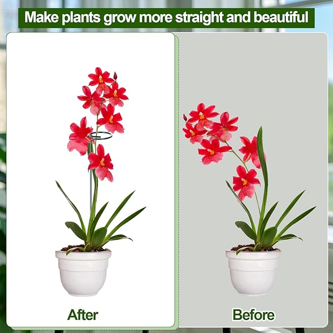 Mwellewm 3 Sets Plant Stakes 12/25/36 Inch Adjustable Plant Support Stakes Tall for Indoor Outdoor Plant Holder Stick Steel Garden Stem Pole Amaryllis Stakes with 15 Clip for Tomato Orchid Lily Flower Mwellewm