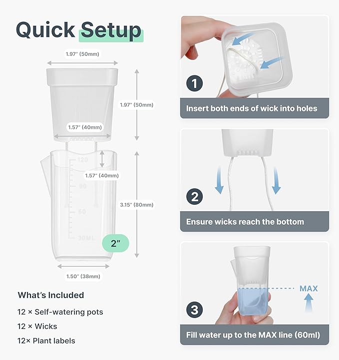 12 Pack 2" Mini Self Watering Pots for Indoor Plants,Small Clear Plastic Planters,Alocasia Corm Propagation,African Violet,Cutting,Seeding,Water Level Indicator,Drainage Hole,12 Plant Label Vandorelle
