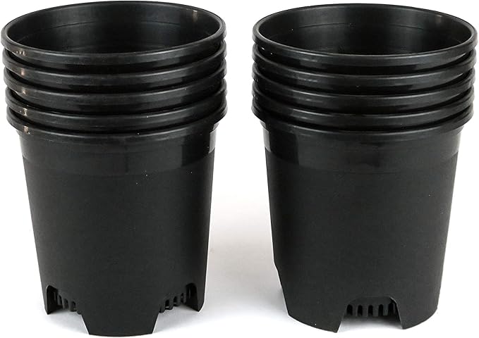 5.5 Inch Gardening Flower Pots 10-Pack Black Pot Liners 0.5 Gallon Nursery Pot Plastic Planters for Outdoor Indoor Plants with Drainage Holes CottaPlanters