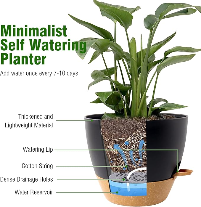 8 inch Self Watering Pots, 2 Pack Plastic Planters with Mesh Drainage Holes for Garden Plants and Flower, Plants Pots with Deep Reservoir for Indoor Outdoor Plants, Black with Brown WSMKSZ