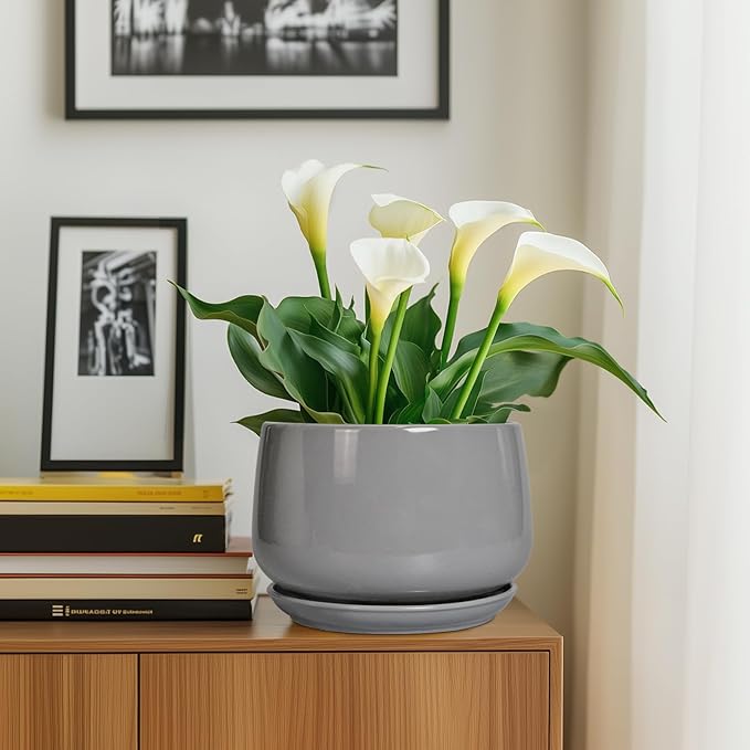G EPGardening Ceramic Plant Pots - 9 Inch Modern Round Planter with Drainage and Plant Saucer for Indoor Outdoor Flower, Apartment Decor, Birthday Gifts, Grey GEPGardening