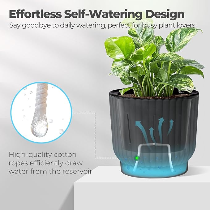 T4U 6 Inch Self Watering Pots for Indoor Plants, 6 Pack Plant Pots, Self Watering Planter for Indoor Plants, Durable Plastic Pots, Flower, Succulents (6 Pack, 6", Gray) T4U