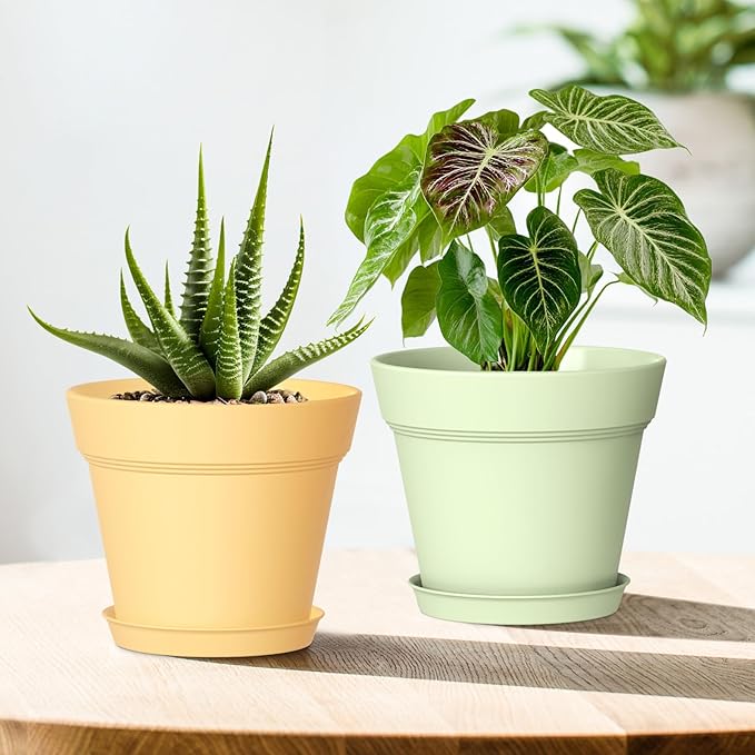 4 Inch Plastic Plant Pots with Drainage Holes and Trays – 8 Pack Small Nursery Pots for Indoor & Outdoor House Plants and Flowers, Seedling Starter Planters, Colorful WSMKSZ