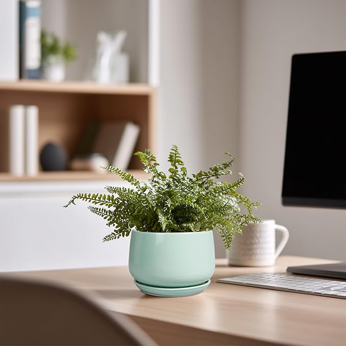 G EPGardening Ceramic Plants Pots - 4 inch Plant Pots Indoor Outdoor, Small Succulent Planter with Drainage Hole & Tray, Modern Flower Pot, Round Decorative Planters, Office Decor, Garden Gift, Green GEPGardening