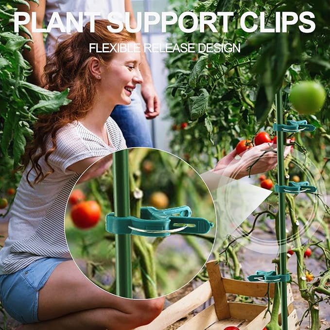 80 Pcs Plant Support Clips,Flower and Vine,Garden Tomato Plant Support Clips for Supporting Stems,Vines Grow Upright Climbing,Tool for Straightening,Tomato Cage,Trellis. 2 Sizes in one Pack Yinghezu