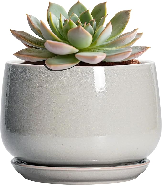 G EPGardening Ceramic Pots for Plants - 6 Inch Plant Pot with Drainage and Ceramic Tray, Modern Succulent Pots, Round Planters for Indoor Plants, Living Room Decor, Gifts for Plant Lovers, Light Grey GEPGardening