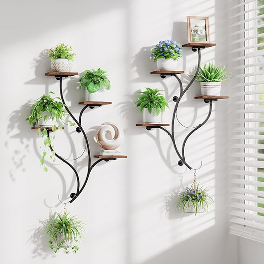 LATIBELL 2 Packs Wall Planters for Indoor Plants 8 Tiered Wall Mount Plant Holder Hanging Planters Wall Decor Living Room Plant Stand Indoor Wall Planter Plant Hanger Window Plant Shelves for Home LATIBELL