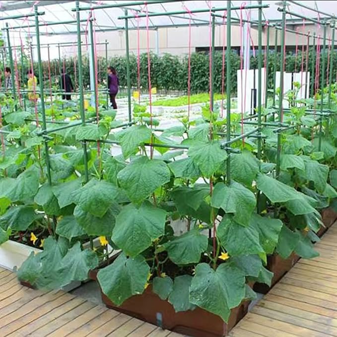 3Feet 36inch Garden Stakes Sturdy Plant Sticks Support Tomato Stakes for Vegetable,Pack of 20 Jxrhy