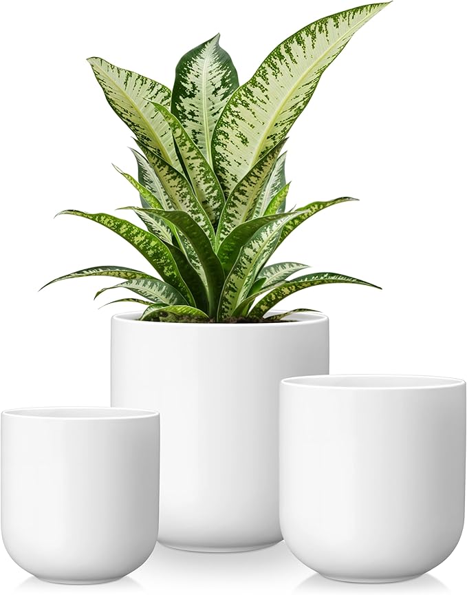 vancasso Ceramic Plant Pots, 4+5+6 inches, Set of 3, Planters with Drainage Hole, Flower Pots Planters Pots for Indoor Plants, Modern Indoor Decorative Garden Pot, Home Decor, White vancasso