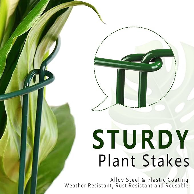 6 Pack Plant Support Stakes, 15.8" Half Round Metal Garden Plant Supports for Indoor Plants, Green Plant Cage Ring for Monstera, Peony, Hydrangea, Potted Plant Holder Sticks (10" Wide) Soupiar