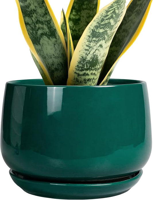 G EPGardening Ceramic Planter for Indoor Plants - 7 Inch Plant Pot, Round Planter with Drainage and Saucer, Round Flower Pots for Outdoor, Modern Desk Decor, Gift for Women Men, Green GEPGardening