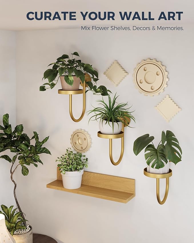 Bamworld Wall Plant Holder Wall Planters for Indoor Plants Plant Hanger Indoor Window Plant Shelves Hanging Plant Holder Window Plant Hanger Plant Decor Golden 3pcs Bamworld