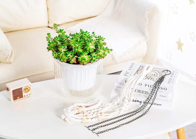 Melphoe Self Watering Hanging Planters for Indoor Plants, 1 Pack 8.3 Inch Outdoor Hanging Plant Pot Basket, 2 Kinds of Hangers Macrame 35.5’’ & Metal Chain 19.6’’ for Garden Home Decor Melphoe