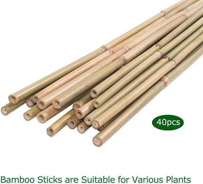 40pcs Natural Bamboo Sticks for Indoor and Outdoor Plants, 16 Inch Plant Support Stakes for Tomato, Beans, Potted Plants and Vegetable Cambaverd