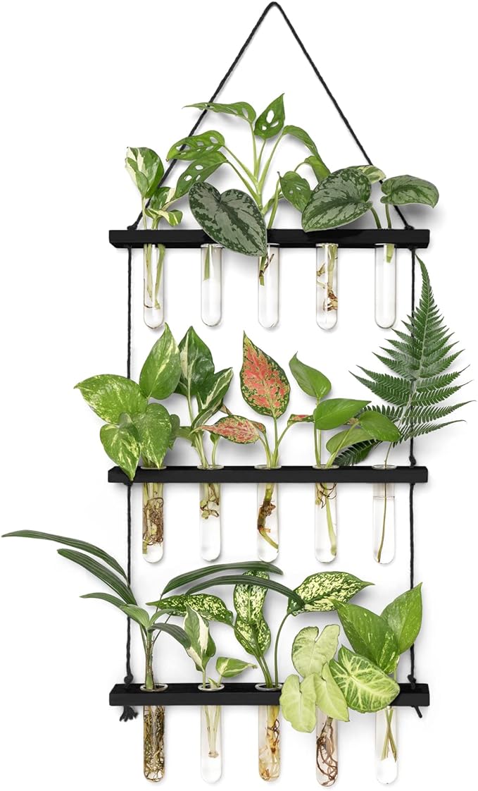 Mkono 3 Tiered Wall Hanging Plant Terrarium with Wooden Stand Mini Test Tube Flower Vase Glass Planter for Hydroponic Plant Cutting Home Garden Office Decor Gift Mkono