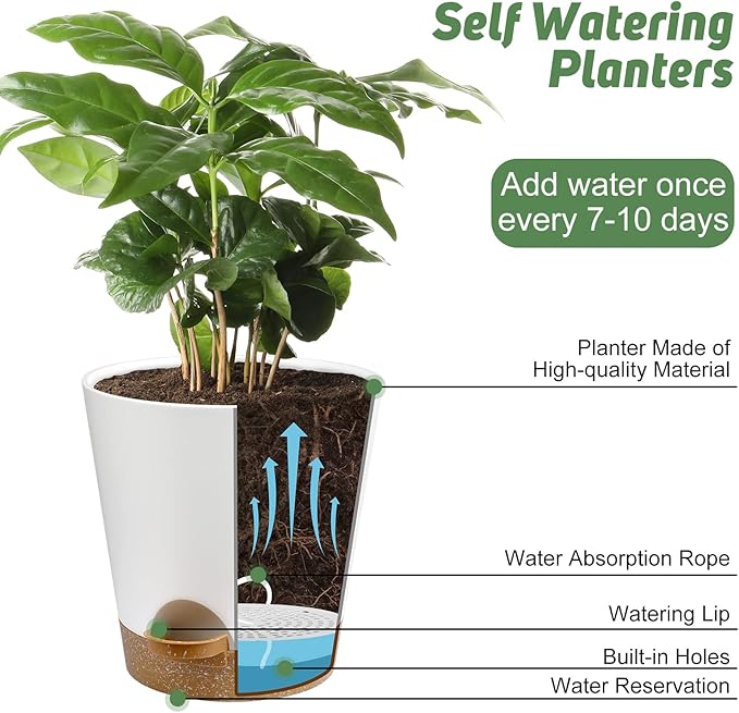 Indoor Self Watering Planters with Drainage Holes and Saucers, 8, 7, 6.5, 6, 5.5, 5 Inches, White, 6 Pots AFamilyofGardenLovers