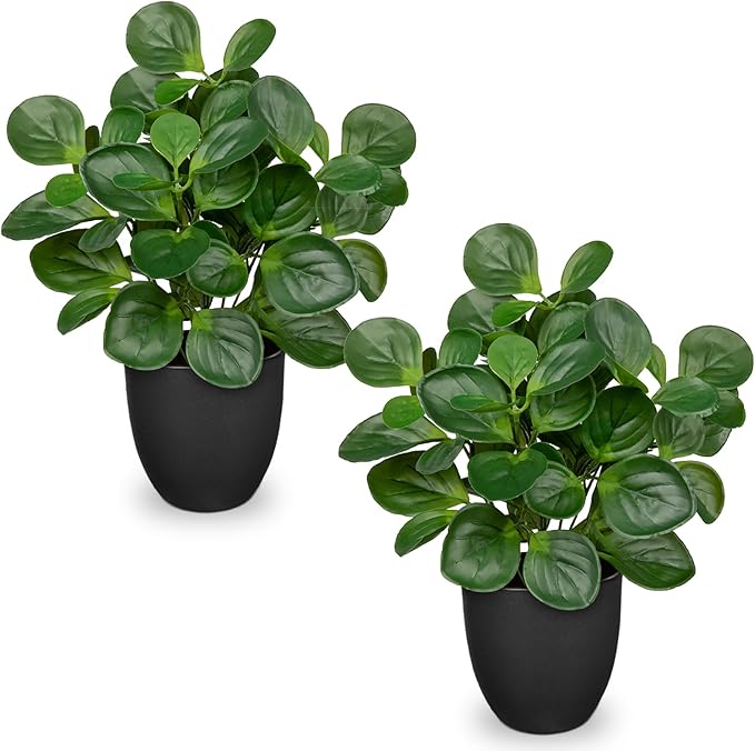14.5" Artificial Plants Indoor Home Decor, Fake Potted Silk Plants for Shelves Living Room Decor, Small Artificial Office Desk Plants in Pots, Faux Peperomia Hope Tropical House Plant, Sets of 2 VillaComo