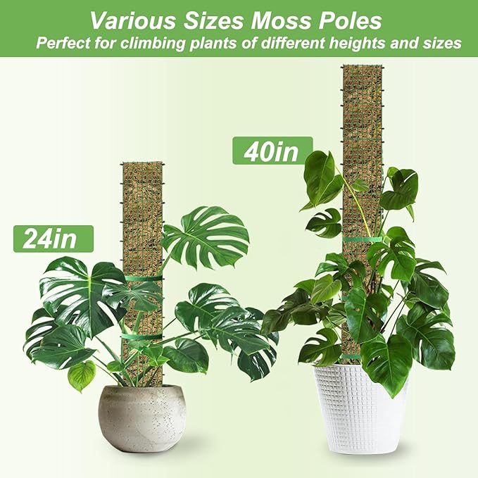 60"/40"/24" Metal Moss Pole, D Shape Sphagnum Moss Pole, Moss Poles for Climbing Plants, Monstera, Indoor Climbing Plants (2 Each of 40" 24") HOLANHING