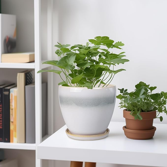 6.3 Inch Plant Pot - Ceramic Planters for Indoor Ourdoor Plants, Modern Succulent Pot, Round Planter with Drainage Hole and Saucer, Room Office Garden Home Decor, Plant Lover Gift, White-Grey EPFamily
