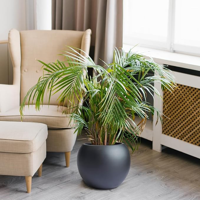 10 H x 14" Dia (10" Pot Opening) Round Fiberstone Planter with Drainage Hole, Black, Indoor/Outdoor Large Plant Pot for Home Patio Garden, Ideal for Large Plants Panlaolao