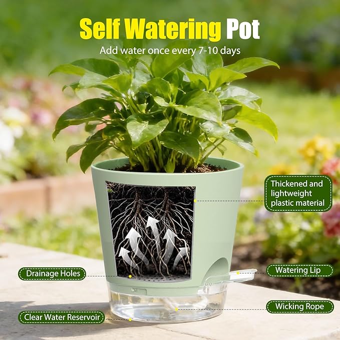 Plant Pots 5 Inch Self Watering Pots,6 Pack Plastic Planters with Drainage Holes and Clear Saucers,Plastic Flower Pots,Nursery Planting Pot for Indoor Out Door Plants (Green) SQKH
