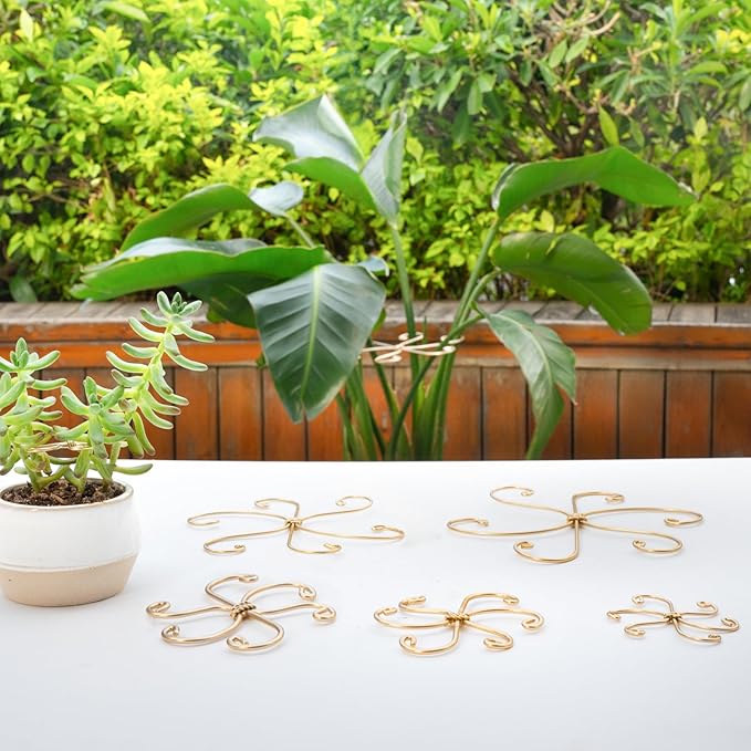 Monstera Plant Stem Support Set - 5 Durable Stabilizers (2.75"x2.75") for Indoor Plants, Leaf Holder & Cactus Stake - Keep Monstera Healthy & Upright - Ideal Gift for Plant Lovers Yohsnor