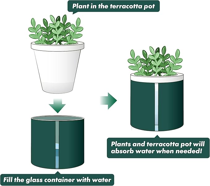 D'vine Dev 4 Inch Design Self Watering Planter for Indoor Plants, White Terracotta Pot with Teal Cylinder Glass Cup, Set of 3,37-Z-A-5-T DvineDevPlanterPotsandStand