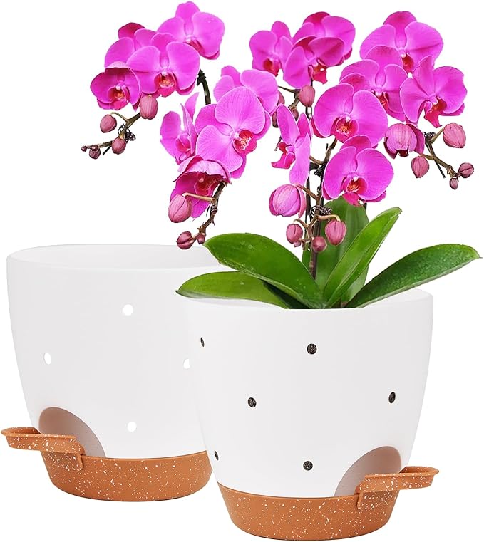 6 Inch Orchid Pots with Holes, 2 Pack Self Watering Planters for Orchids Plastic Orchid Pot Plant Flower Pots for Orchids Indoor Outdoor (White with Brown) Vanslogreen