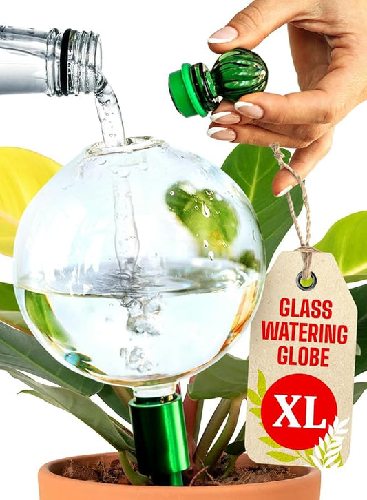 16 Oz Plant Watering Globes for Indoor Plants with Metal Self Watering Planter Insert - Premium XL Glass Hand-Blown Globe - Automatic Plant Waterer Indoor, Gift Idea for Gardeners [1 Globe, Clear] GARDENBRO