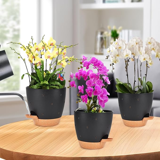 6 Inch Orchid Pots with Holes, 2 Pack Self Watering Planters for Orchids Plastic Orchid Pot Plant Flower Pots for Orchids Indoor Outdoor (Black with Brown) Vanslogreen
