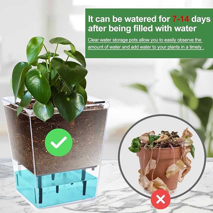 Self Watering Pots Set, 3 Pack 5 Inch for Indoor Plants, Clear Nursery Planter With Deep Reservoir for Spider Plant, Orchid, African Violet IWNTWY