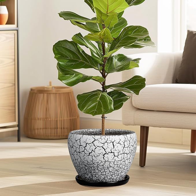 Ceramic Plant Pot 8 Inch - Ceramic Planter for Indoor Plants, Round Flower Pot with Drainage Hole and Saucer, Glaze White and Black Ceramicfor