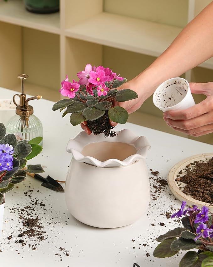 Self Watering Plant Pot, 6 Inch African Violet Pots Maintenance, Ceramic Self-Watering Planter for Indoor Plants - Ideal Flower Pot for Thriving Indoor Gardens, White FayoulasGarden