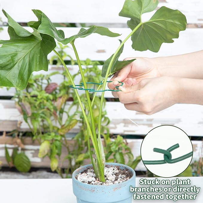 Monstera Plant Stem Support - 4.13 x 2.95 Inches 5 Pack Durable Leaf Holder for Climbing Plants, Ideal for Monstera & Vining Plants, Elegant Design for Plant Lovers Yohsnor