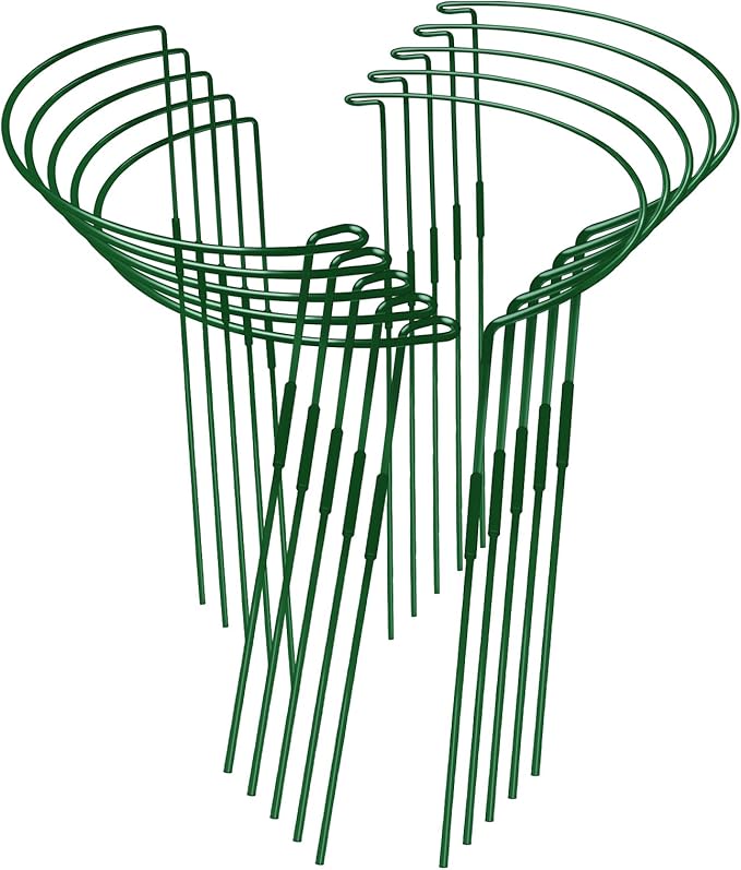 10-Pack Adjustable Height Snake Plant Support Stakes- Sturdy, Rust-Resistant Plant Supports for Indoor and Outdoor Potted Plants (16x10Inch) - Flower and Garden Peony Support WooWellGoGoGoProducts