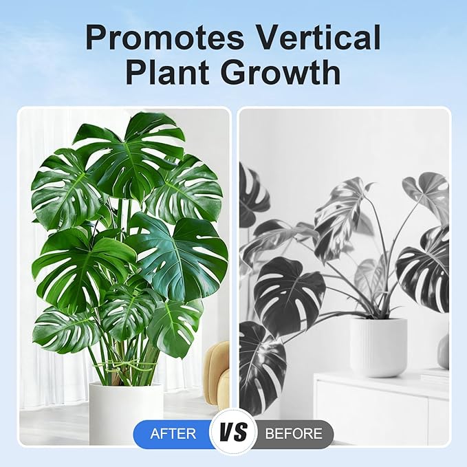 20pcs Plant Stem Support, Unique Design Stem Supports for Indoor Plants, Monstera Plant Support for Thriving Growth, Four Different Size Combinations Indoor Plants Accessories (Green) Rootora