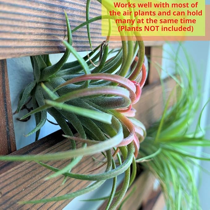 ShopLaLa Wall Planter - Wooden Hanging Planter for Indoor Plants, Plant Stand, Air Plant Succulent Holder, Vertical Garden. Large Wall Decor for Living Room, Room Decor for Teens, 90cm (35.4") ShopLaLa
