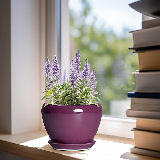 Ceramic Pots for Plants 6 Inch - Ceramic Plant Pots with Drainage Hole and Saucer, Glaze Round Planter for Succulent Plants, Gifts for Plant Lovers, Garden Home Decor, Purple Ceramicfor