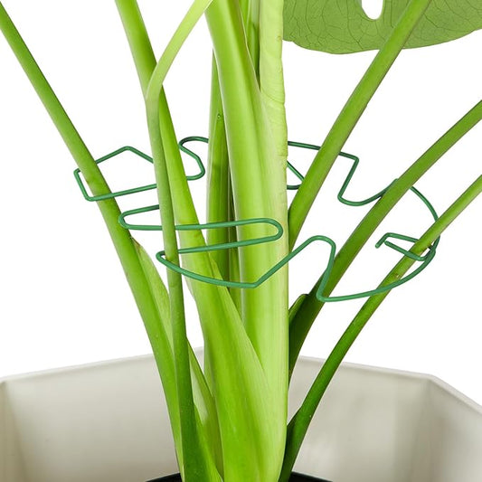 6PCS Iron Monstera Plant Support, Uniquely Designed Indoor Plant Accessories, Stable Plant Support Stakes for Indoor Plant, Turtle Shell Bamboo Clamp Set for Thriving Growth Rootora