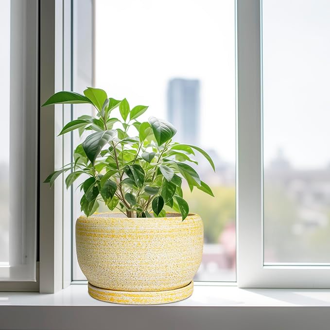 SQOWL Ceramic Planters for Indoor Plants - 10 Inch Plant Pot with Drainage Hole and Saucer, Round Ceramic Flower Pot Outdoor, Decorative Large Planter, Office Decor, Gifts for Women Men, Yellow SQOWL