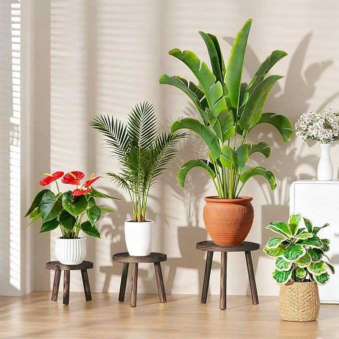 3 Pack Plant Stand Indoor Outdoor Mid-Century Modern Plant Stool Wooden Plant Pot Holder Home Decor for Gardening Living Room,Balcony,Office (Heavy Burnt Color, 3 Pack) Rootora