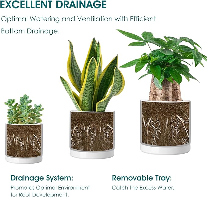 vancasso Ceramic Plant Pots, 3 Piece Planters for Indoor Plants, 4.25+5.25+6.25 Inch Flower Pots with Drainage, Plant Pots Indoor for Succulent, Pothos, Snake Plant and Money Tree, Etc (White) vancasso