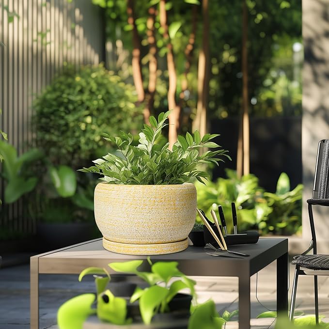 SQOWL Ceramic Planters for Indoor Plants - 10 Inch Plant Pot with Drainage Hole and Saucer, Round Ceramic Flower Pot Outdoor, Decorative Large Planter, Office Decor, Gifts for Women Men, Yellow SQOWL